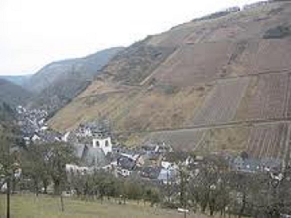 Steeger Tal Hotell Bacharach Exteriör bild